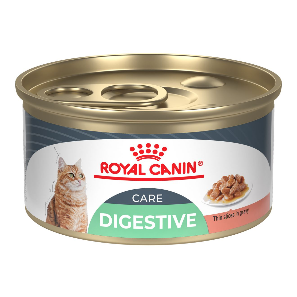 Royal Canin Digestive Care Gato Lata