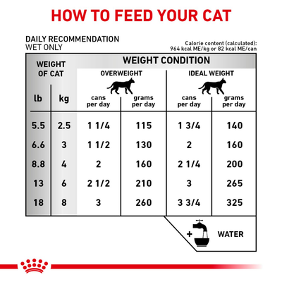 Royal Canin Early Renal Gato Lata