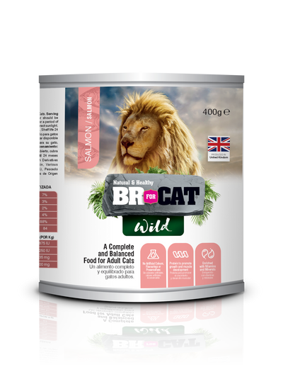Br For Cat Wild Comida Húmeda Gatos Adultos Salmón