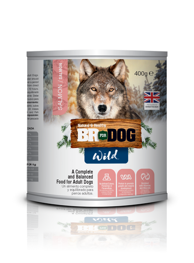 Br For Dog Wild Comida Húmeda Perros Adultos Salmón