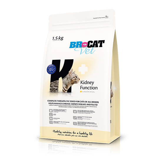 BR for Cat Vet Kidney Function