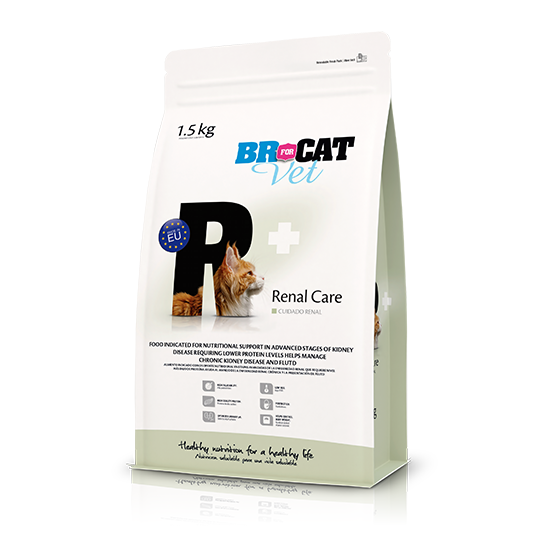 BR for Cat Vet Renal Care