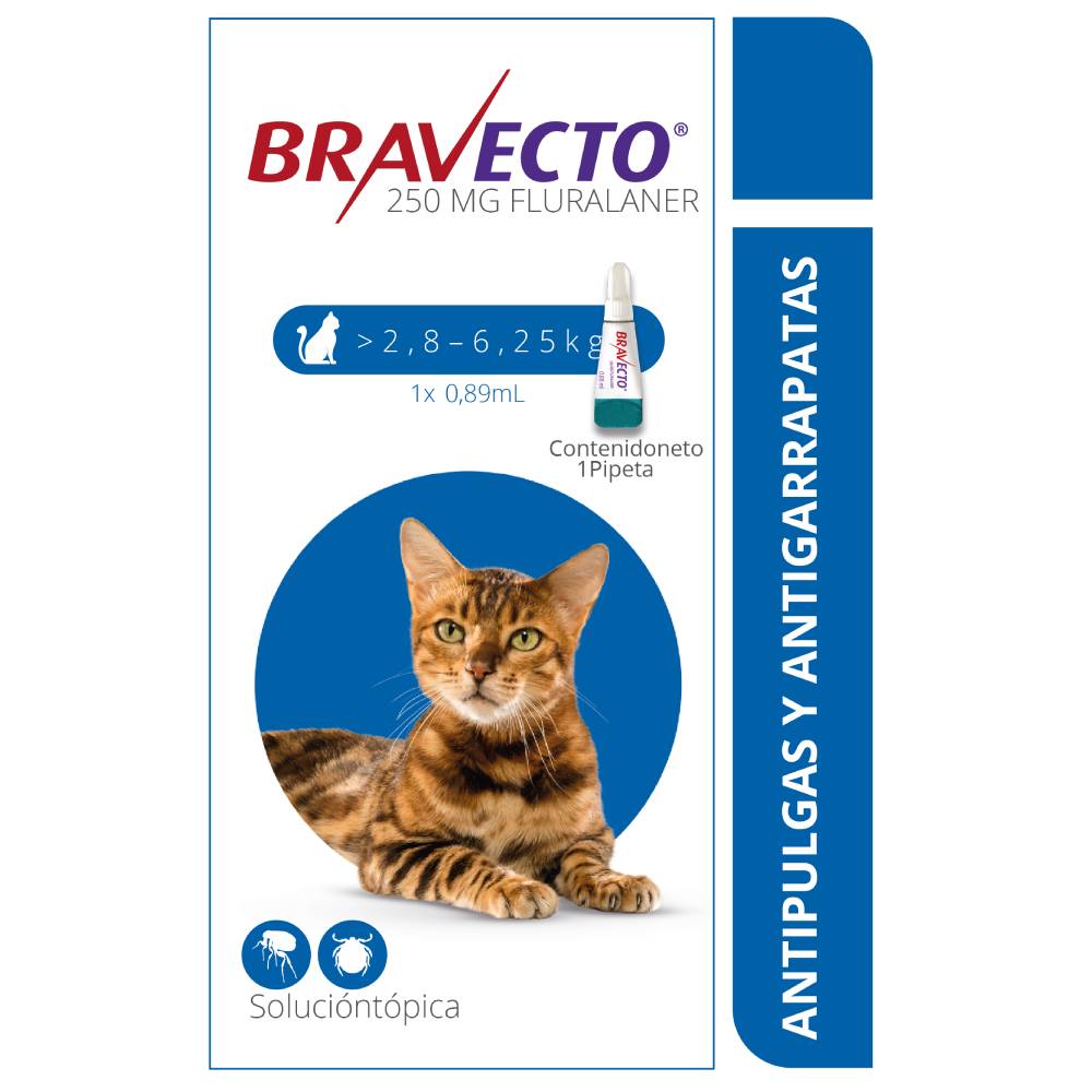 Antipulgas Para Gato Bravecto Spot On 2,8 - 6,2 kg