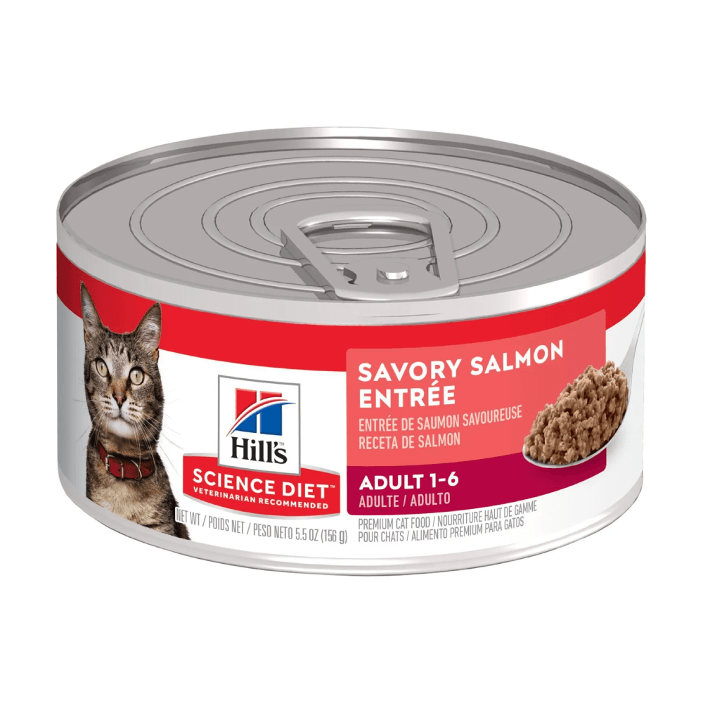 Alimento húmedo para gato Hills Science Diet Adult sabor salmón 5,5 oz